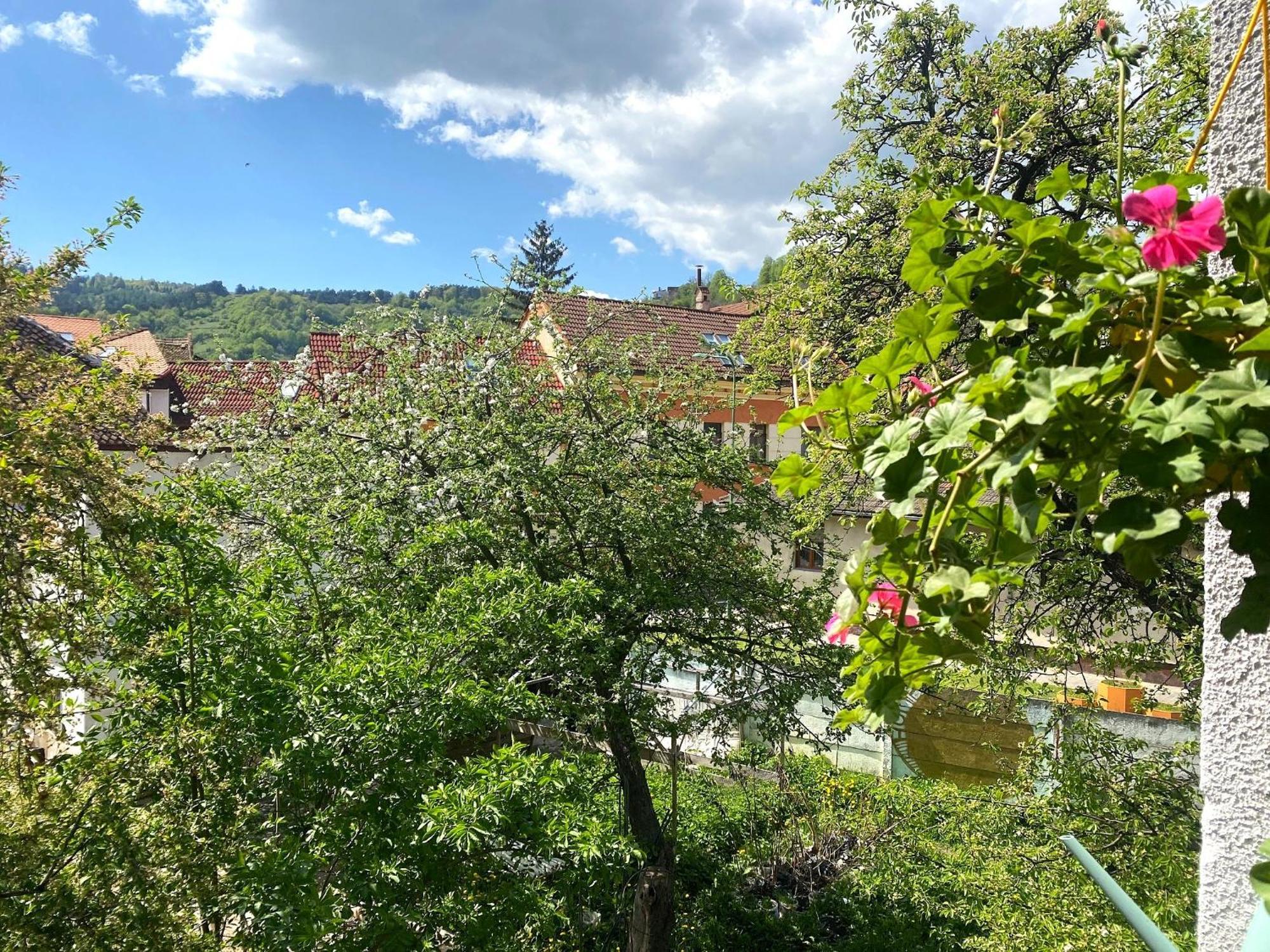 Rose'S Oldtown Apartment Brasov Exterior photo